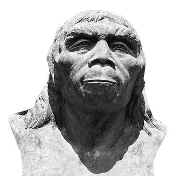 图为北京人复原头像