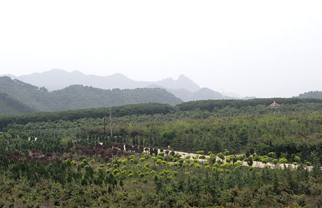 建设绿色矿山