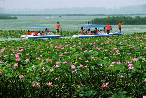 2009中国淮阳龙湖赏荷旅游活动月隆重开幕