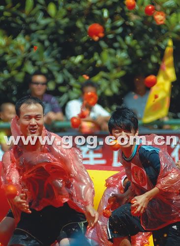 贵阳千人“番茄大战”打烂25吨番茄(图)
