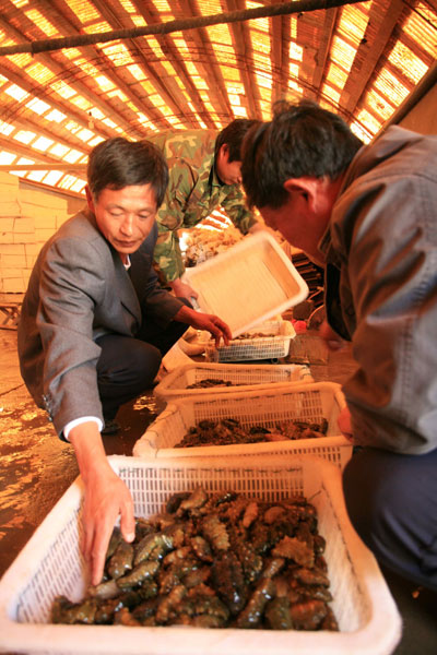 长岛：蓝色经济新战略(图)