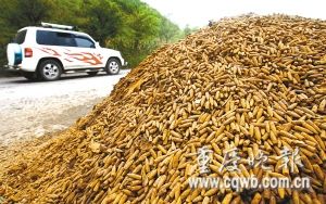重庆路边出现几十吨报废弹头弹匣枪托(组图)