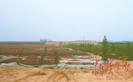 河南原阳黑砖窑截断黄河大坝 当地官员合伙开办