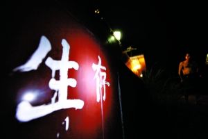 湖南浏阳市镉污染化工厂被永久关闭(图)