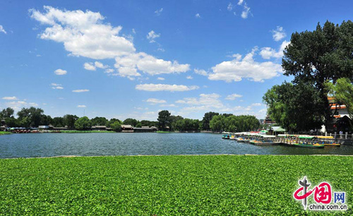 夏游北京什刹海[组图]