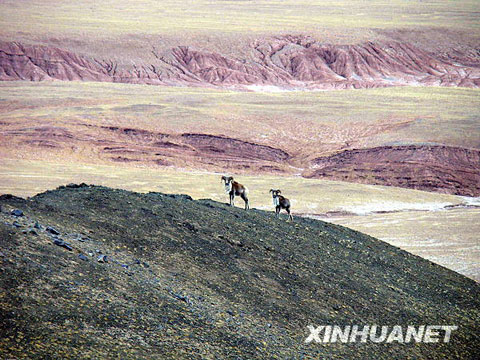 藏北无人区让人迷醉的奇特地貌[组图]