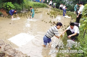 重庆机场唯一供油管道航空煤油泄漏(图)