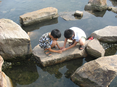 青岛旅游之世纪公园
