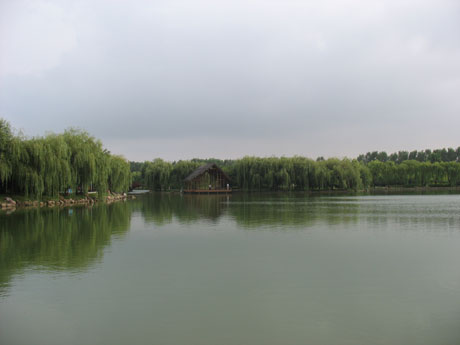 青岛旅游之世纪公园