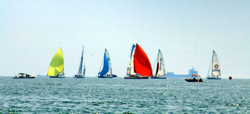 2009青岛国际帆船赛开始举行