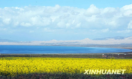 奇美的秋日青海湖[组图]