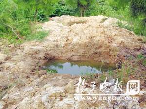 江苏溧水近百座古墓遭盗掘(组图)
