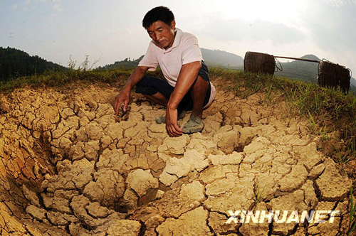 湖南出现夏秋连旱 百万人临时性饮水困难[组图]