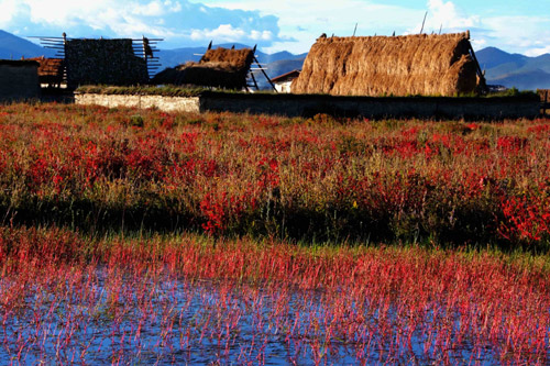云南迪庆藏族自治州州长：努力打造发展和谐生态香格里拉