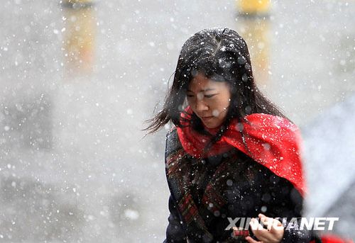 北京受降雪影响部分航班延误 已启动应急预案