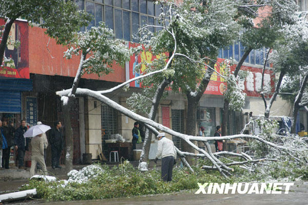 鄂西北十堰山区降大到暴雪