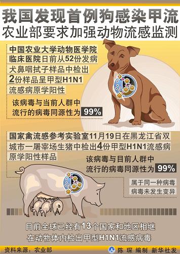 农业部有关负责人就犬检出甲流病毒情况答记者问