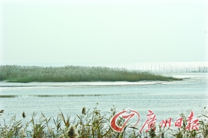 专家称2050年上海可能被海水侵入(图)