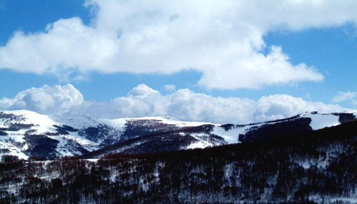 崇礼雪意