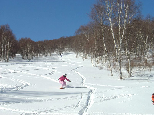 崇礼雪意