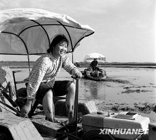 1975年：大刀阔斧的整顿