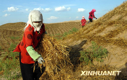 生态建设：替河山装成锦绣 把国土绘成丹青