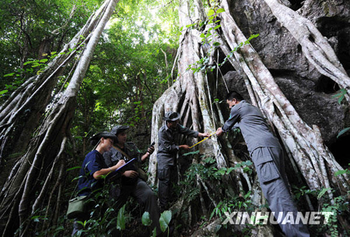 生态建设：替河山装成锦绣 把国土绘成丹青