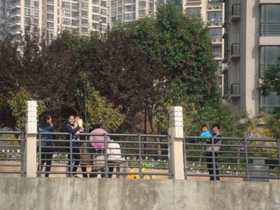 普陀区开发水上休闲，打造苏州河旅游品牌