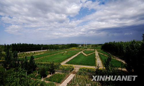 克拉玛依：戈壁中崛起的绿色油城