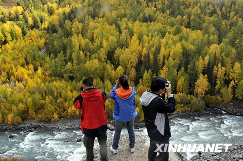 金秋到喀纳斯去采风