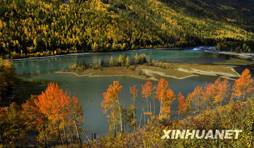 金秋到喀纳斯去采风