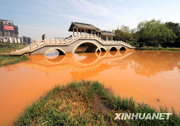 福州生态溪变成“黄水沟”[组图]