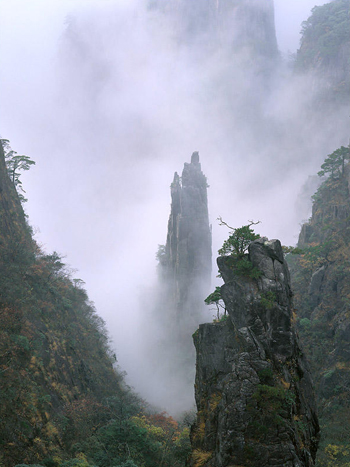 柴埠溪大峡谷
