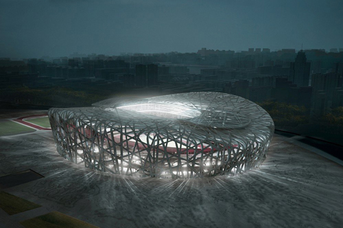 Bird's Nest