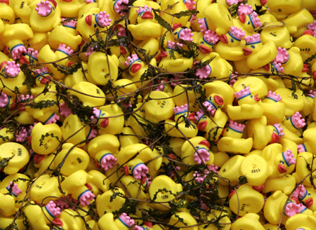 Toy ducks promote funds-raising event for Special Olympics