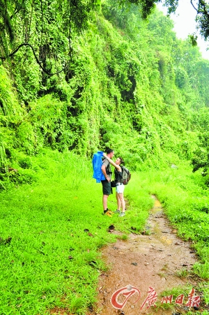 行走留尼旺 一岛千面皆风情