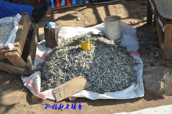亲历赞比亚小镇市场 小鱼干一桶3元好便宜