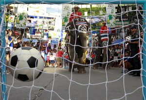 Business embraces World Cup