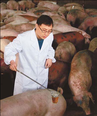 'Lean-meat powder' use provokes crackdown