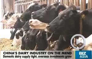 China's dairy industry on the mend