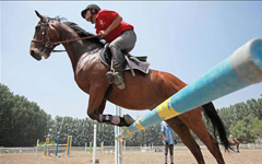 Horse betting, a potential business in China?