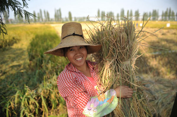 China's farmland goes to larger entities