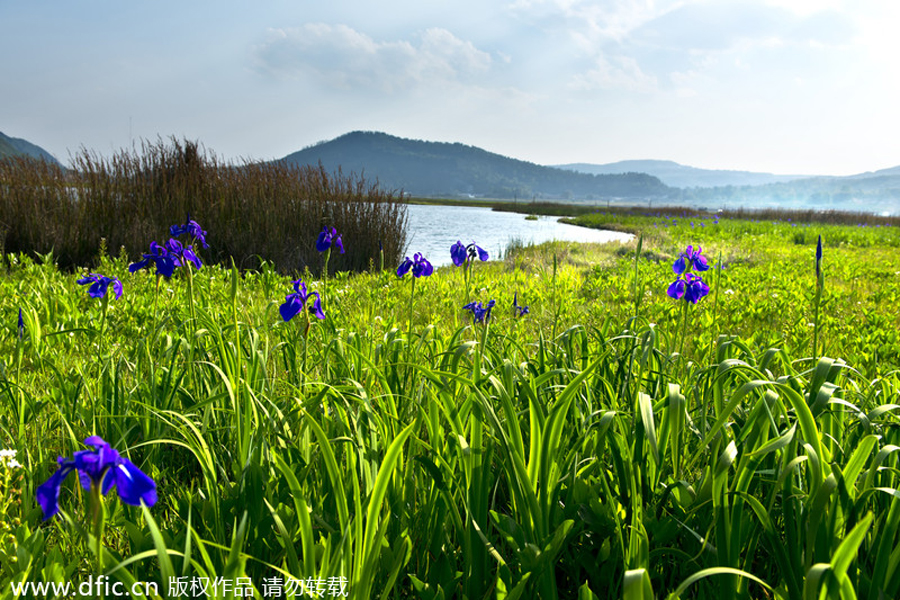 Top 10 wetlands in China