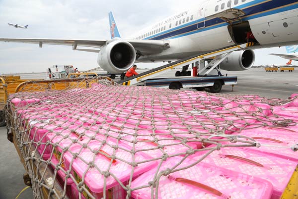 Xinjiang aims to be air traffic hub on Silk Road Economil Belt