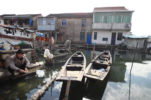 Last fishermen in Shaoxing