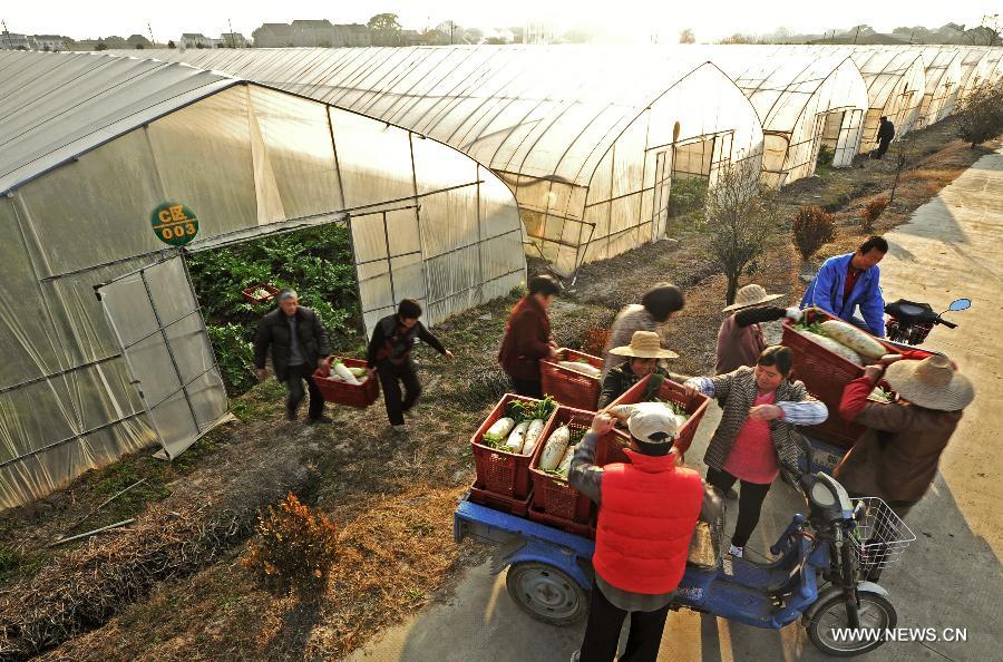 Zhejiang ranked 1st in farmers' disposable income in China