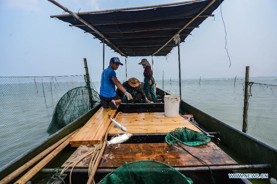 Fishing season of Taihu Lake begins