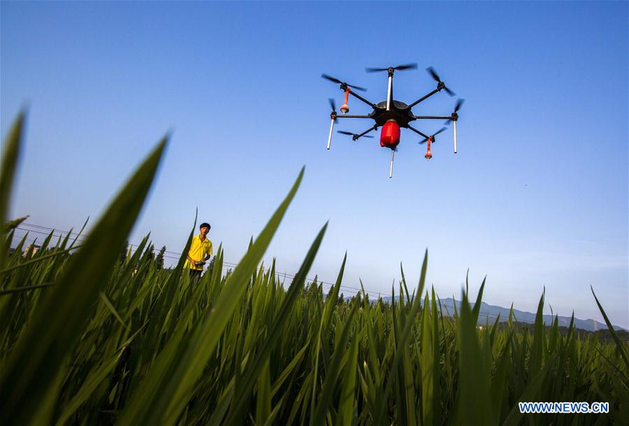 2015: The dawn of the drone age