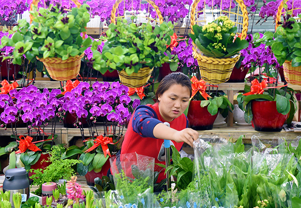 Local flower exports to decline