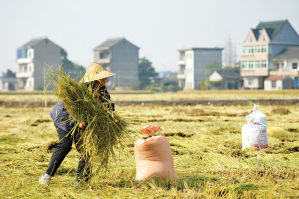 Making food security a top priority